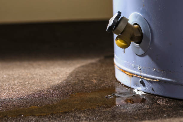 Best Water damage contractors near me  in Keansburg, NJ