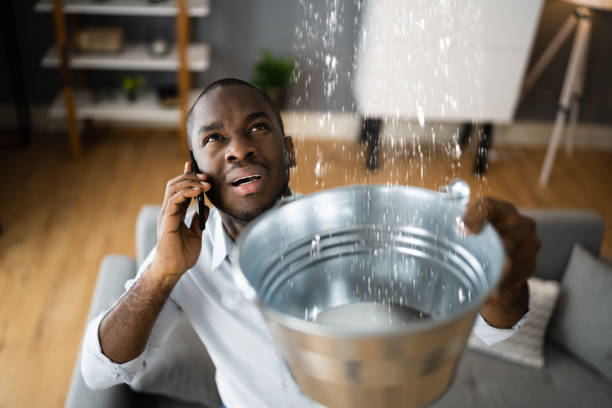 Best Professional water damage repair  in Keansburg, NJ