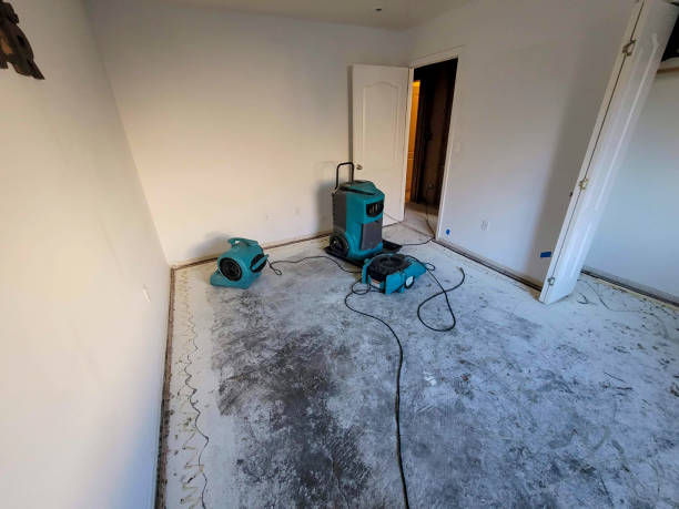 Best Ceiling water damage repair  in Keansburg, NJ