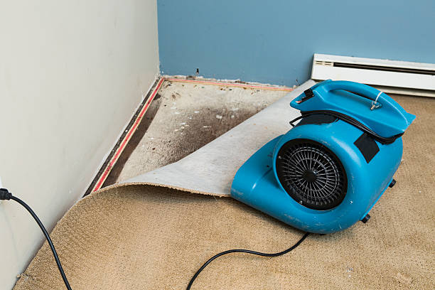Best Water damage restoration cost  in Keansburg, NJ